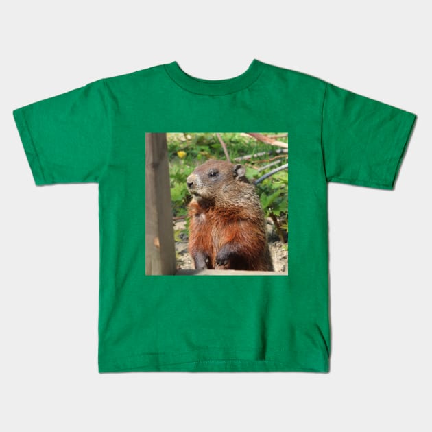 Woodchuck Checking out the Place Kids T-Shirt by Judy Geller